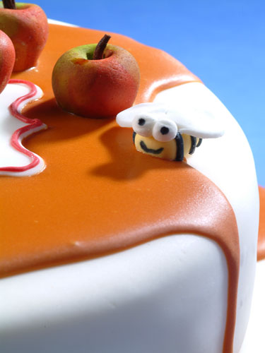 מיקום הדבורה מיקום הדבורה