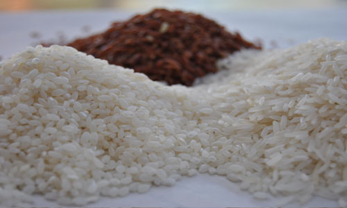 סוגי אורז: פרסי, אדום,עגול 